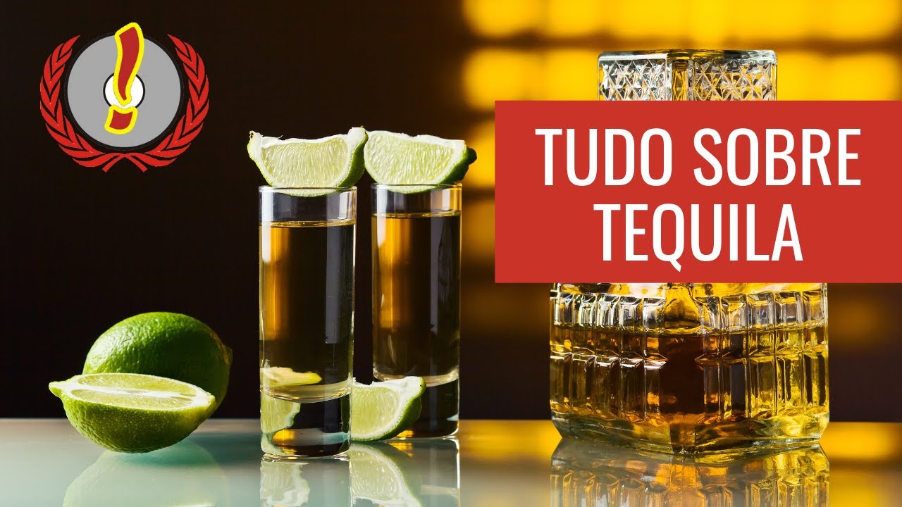 Tudo sobre tequila