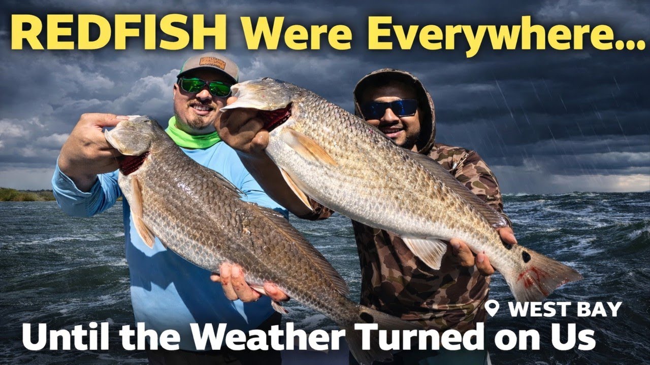 Nonstop Redfish Action in this Spot of West bay. 3 keepers and one got lucky
