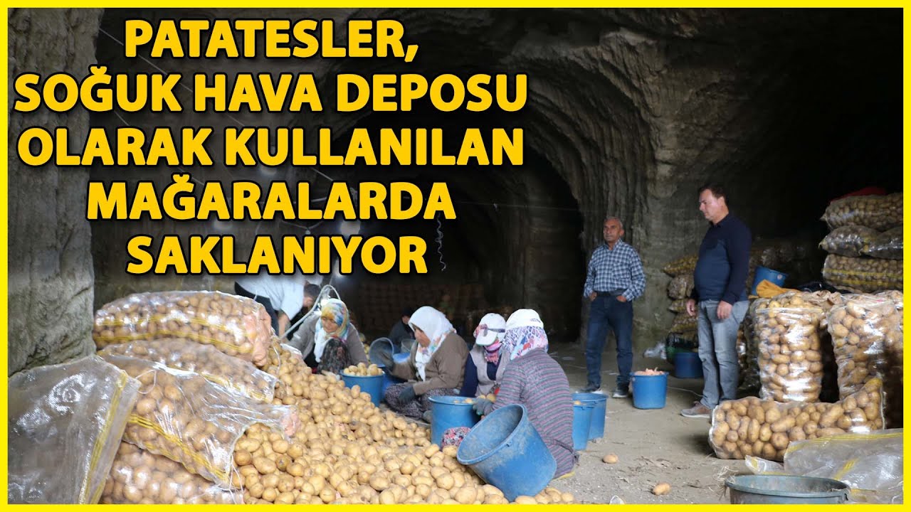 Afyonkarahisar'da Patatesler, Mağaralarda Depolanıyor