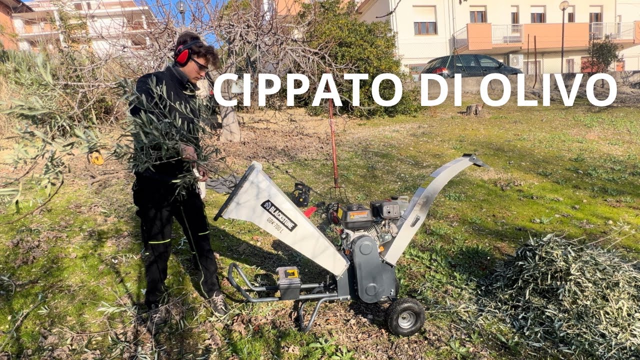 Ho CIPPATO 20  metri cubi di Olivo! @AgriEuroItalia