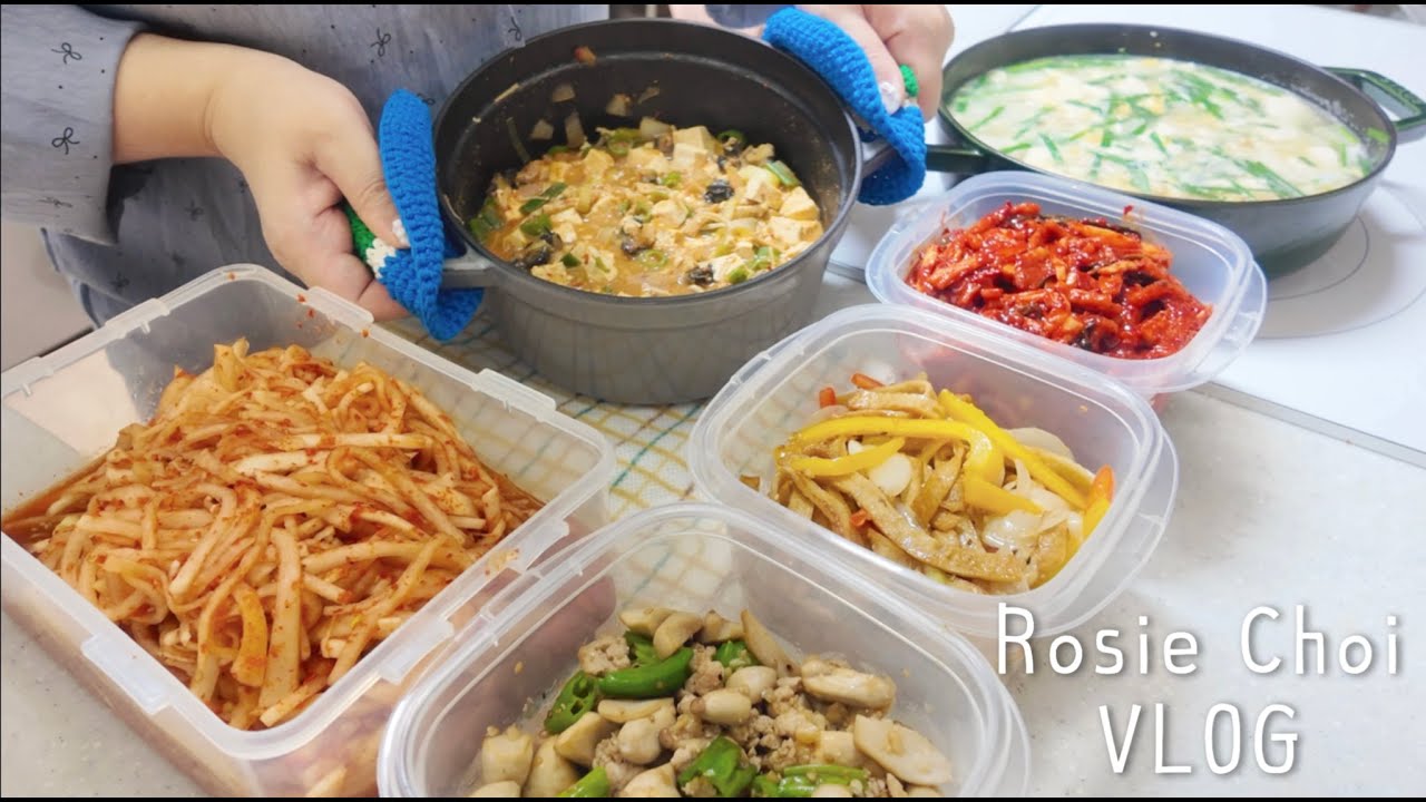 코스트코 갔다가 대량 함박스테이크밀프렙과 맛있는 밑반찬 만드는 평범한 일상브이로그 | 밑반찬만들기,피타브래드샌드위치,함박스테이크밀프랩,국밥,샤크에보파워청소기