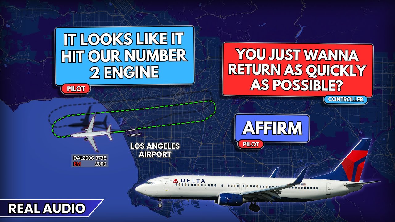 Delta Pilot requests to return as quickly as possible after bird strike at LAX Airport. Real ATC