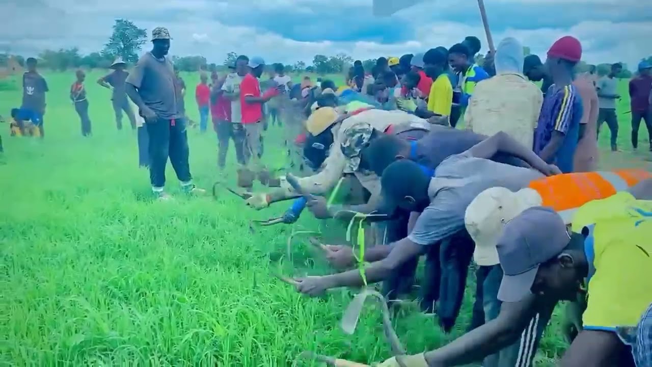 DAWOL NGESA CEERNO IÑO ROUMDE LE 12 07/2025