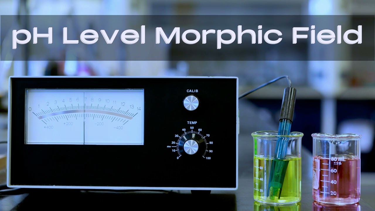 pH Level Morphic Field - Maintains pH Level Between 7.35 to 7.45 - Kills All Types Of Acidity