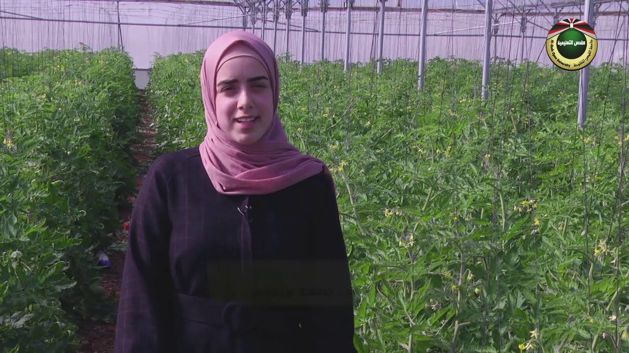 كلية الزراعة، طوباس | من الجامعة