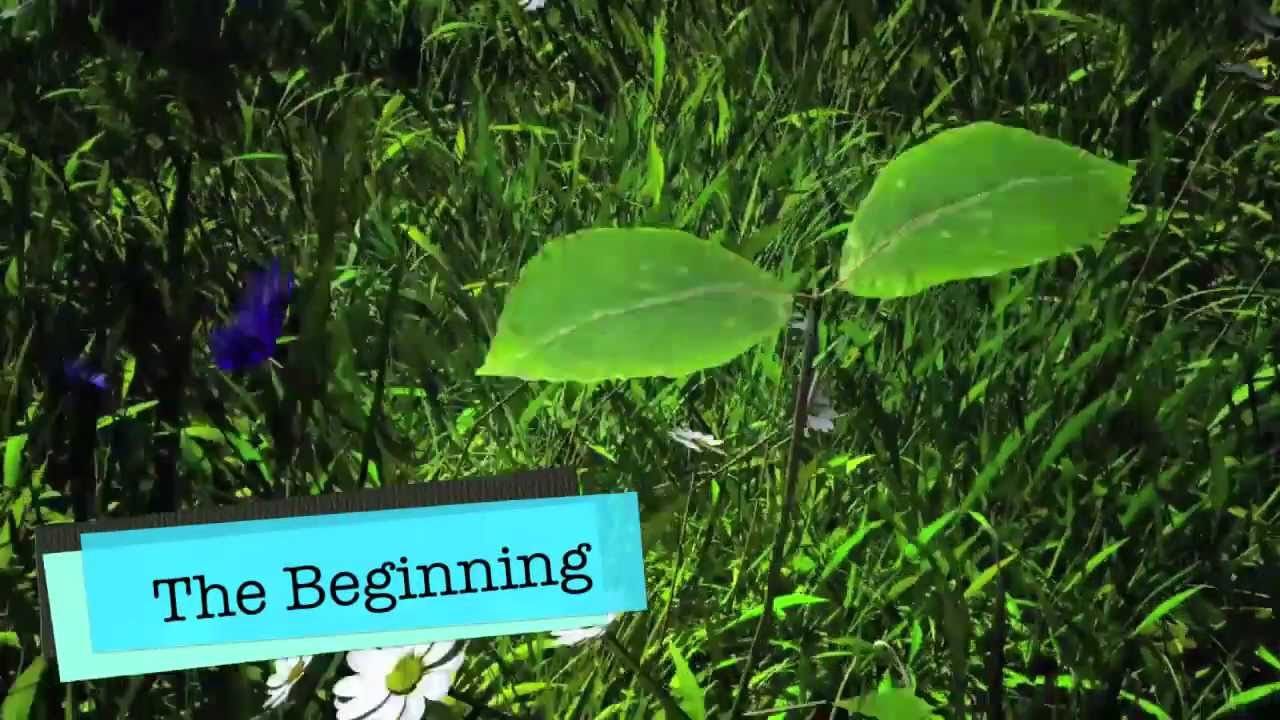 RHUMC Youth The Beginning