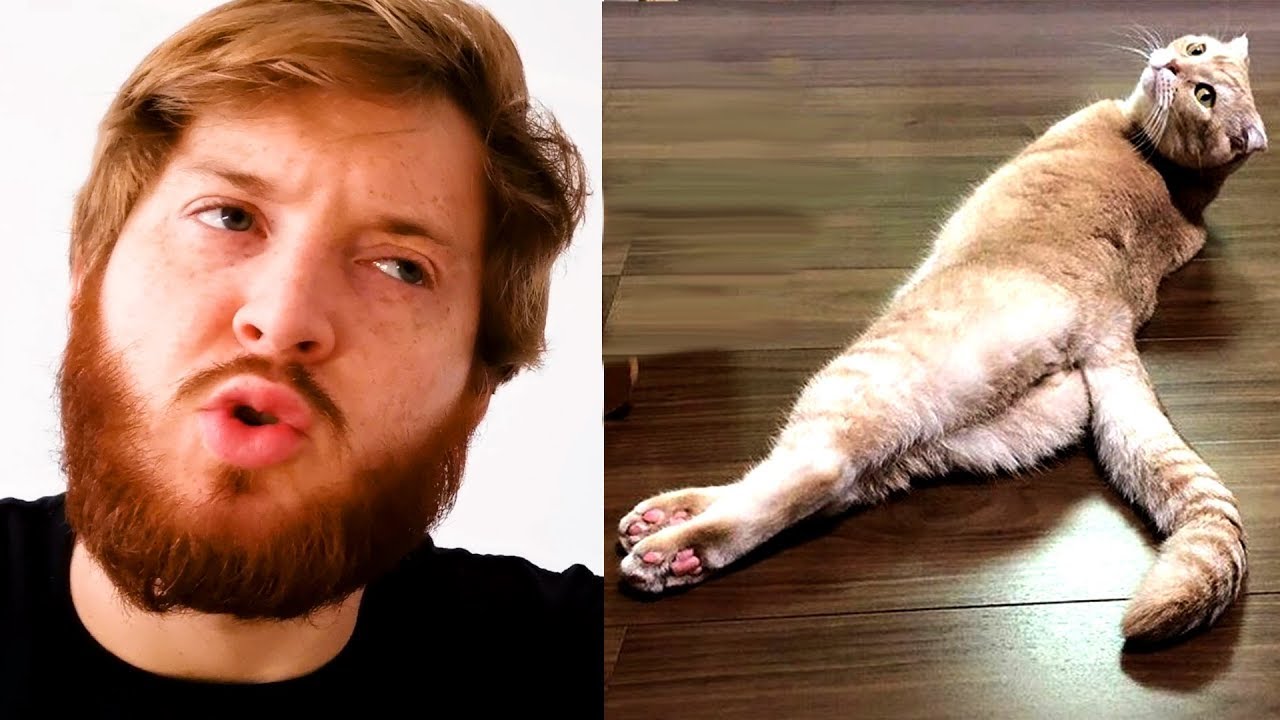 JAK NAPRAWIĆ KOTA?