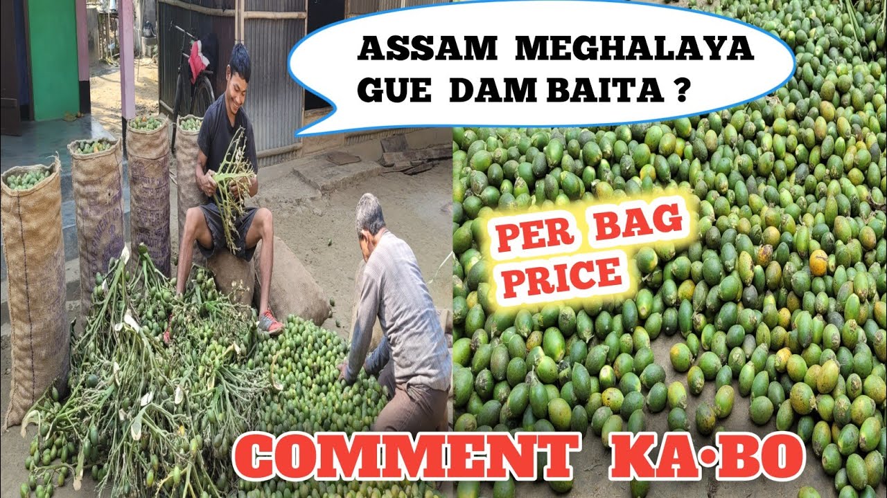 Assam meghalaya ni gue baita dam || Gue rangni dam ko sakantinan uiatpachina 