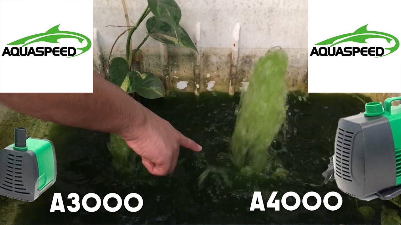 Aquaspeed Submersible Pump (Small Cycle Filter) A3000 vs A4000 Comparison