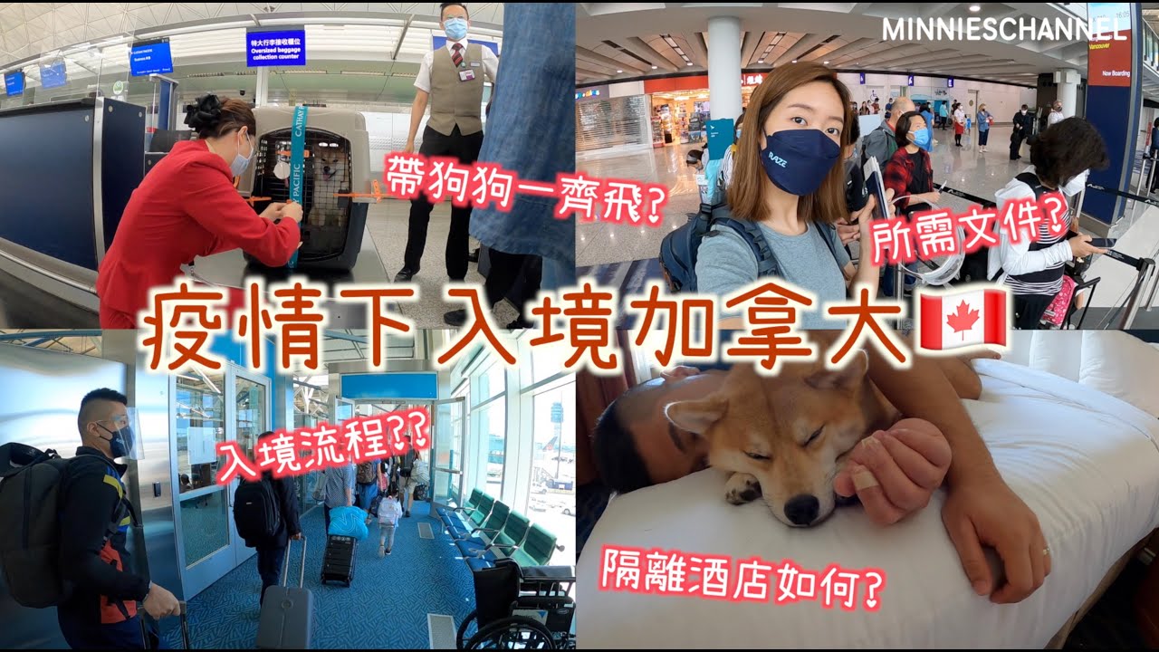 移加迷你－疫情下用學簽&配偶工簽入境加拿大所需文件 入境流程 帶狗狗一齊移民 強制隔離酒店質素 ｜minnieschannel