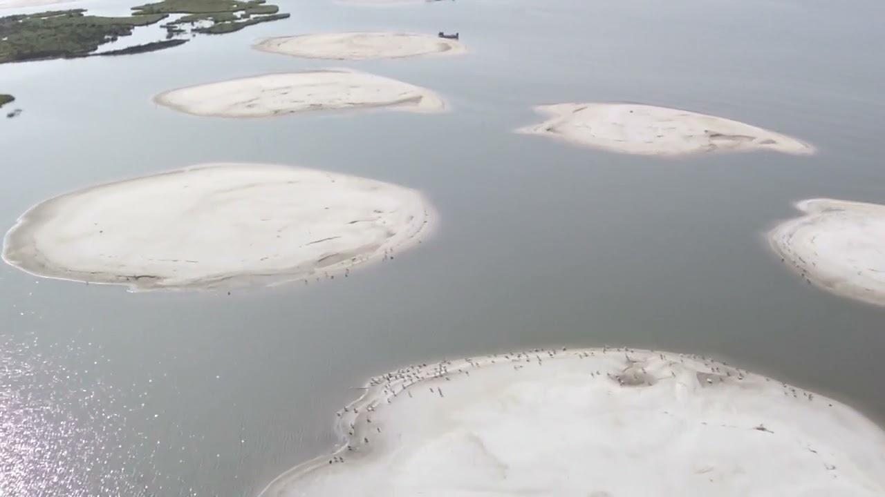 Marsh Bird's Eye View