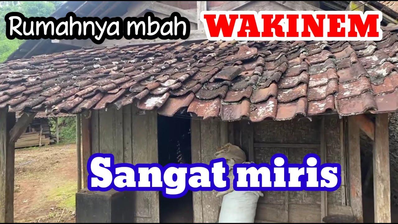 Rumah mbah WAKINEM seorang lansia tinggal sendiri