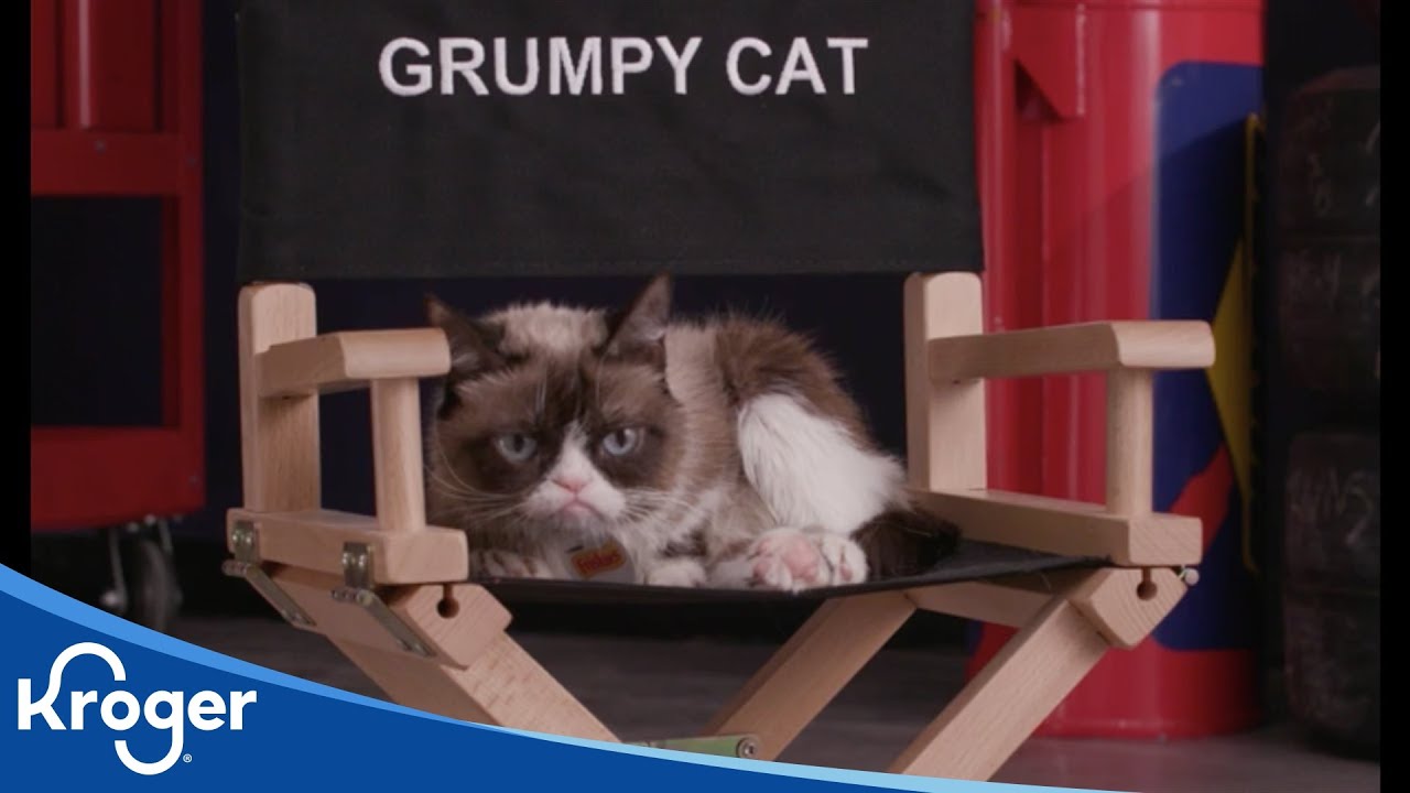 Lap It Up With Friskies | Kroger Partners | Kroger