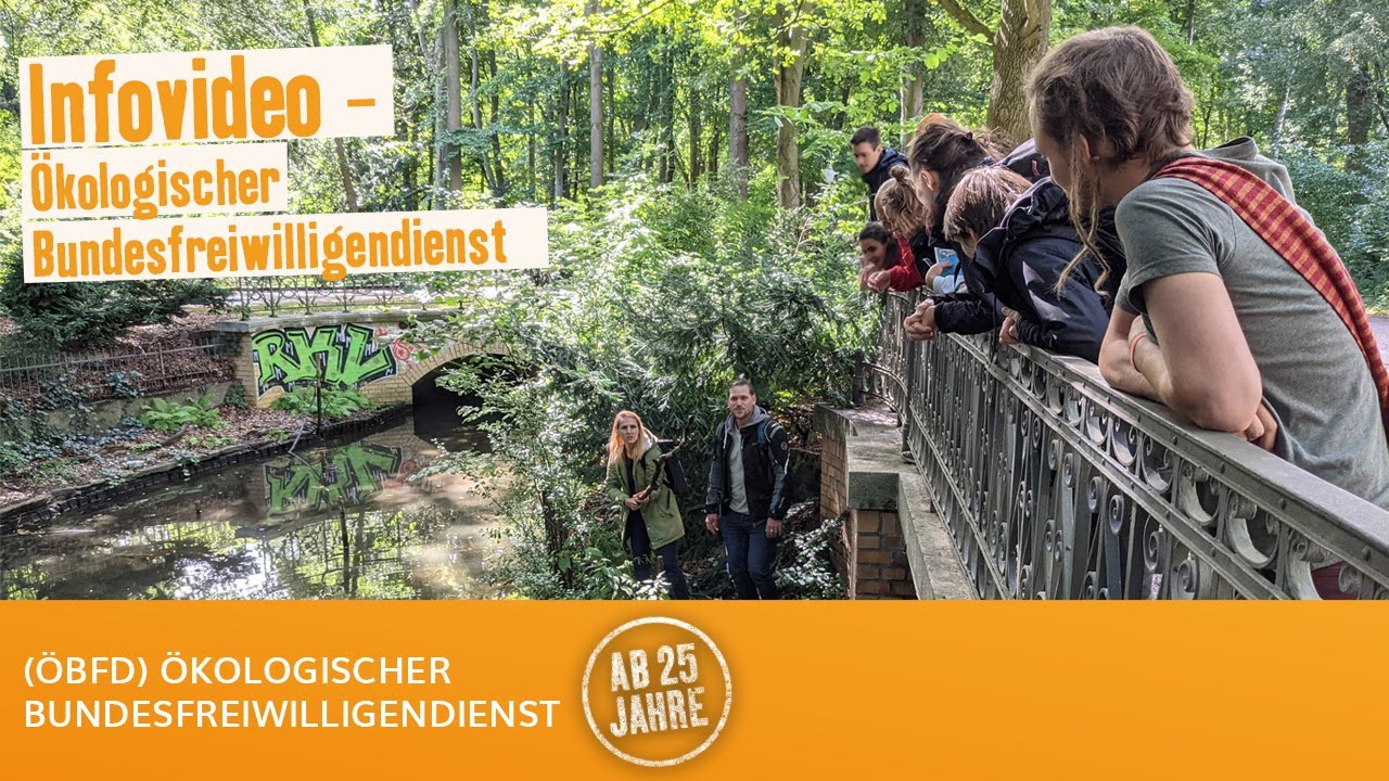 Ist der Ökologische Bundesfreiwilligendienst (ÖBFD) das Richtige für mich?