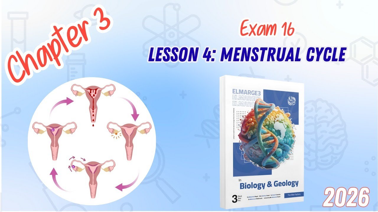 CHAPTER 3 | Lesson 4 | ELMARGE3 | Menstrual cycle  | Exam 16