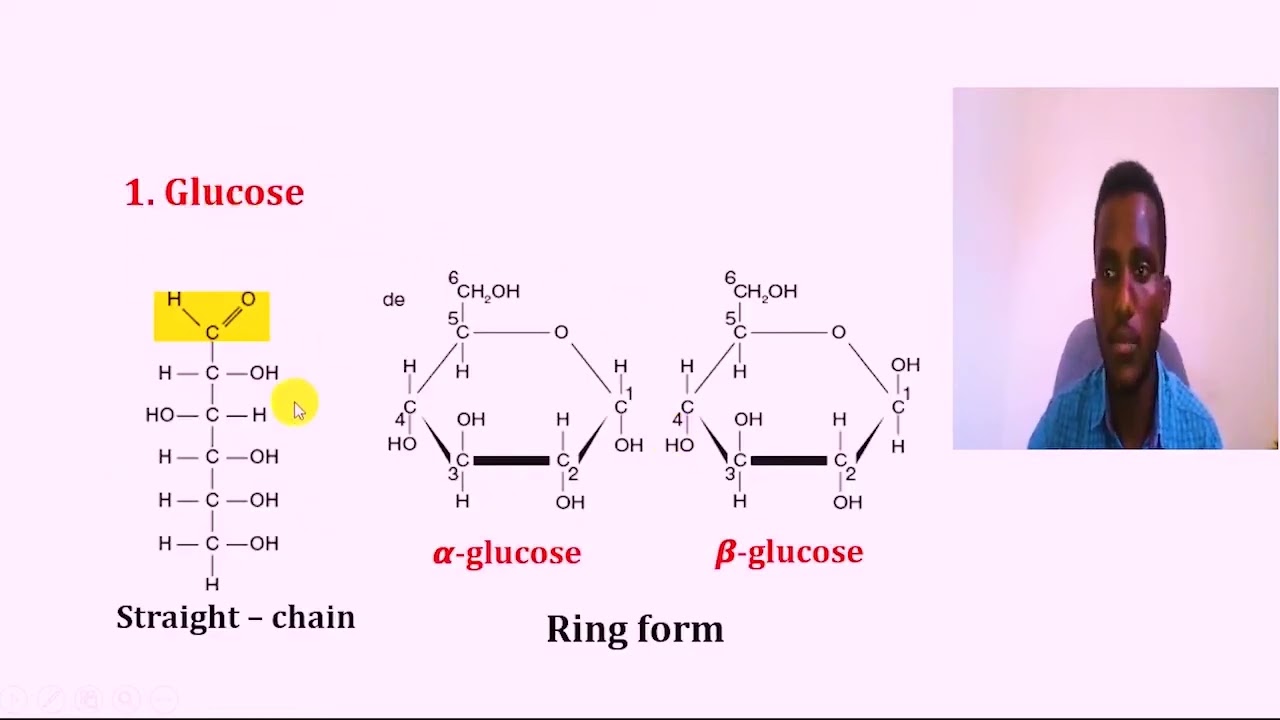 general biology freshman course chapter two macromolecuels,carbohydrate,liped,nuclicacid and protins