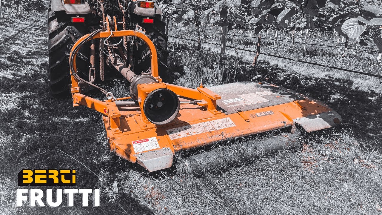 Mulching in the kiwi field with a Berti FRUTTI mower