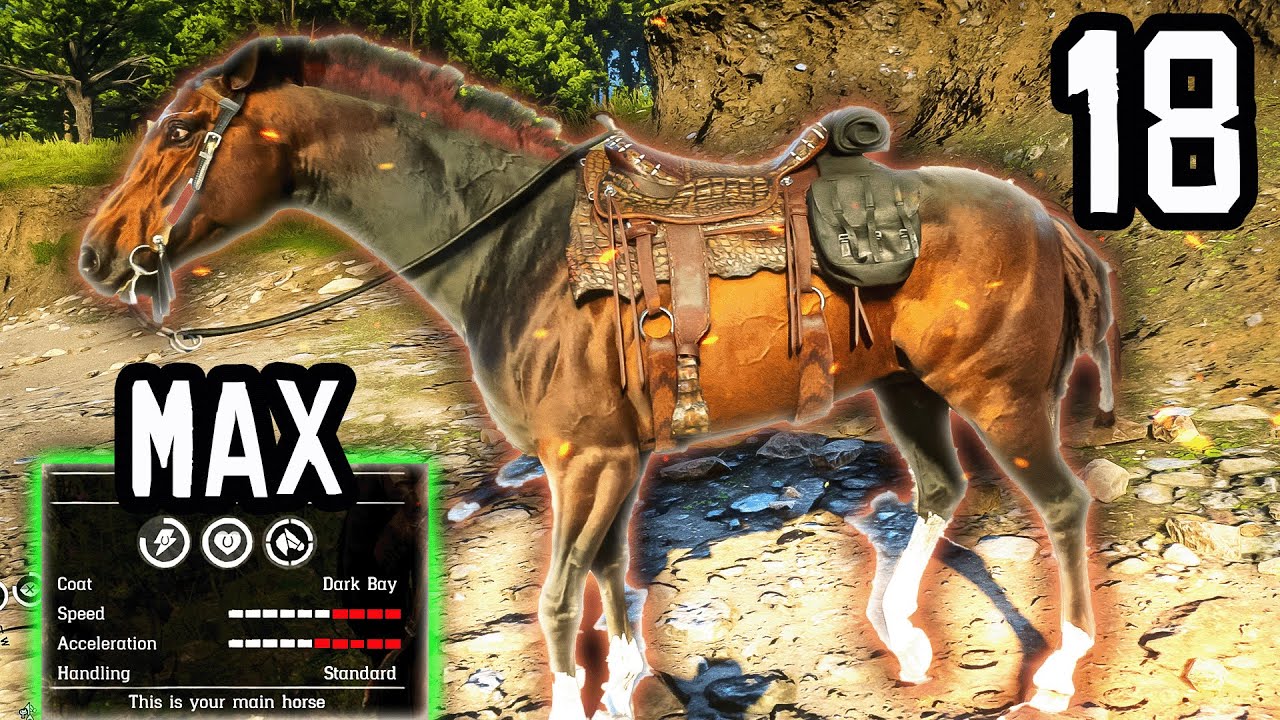 The *BEST HORSE* Dark Bay Turkoman In Red Dead Redemption 2 - Part 18