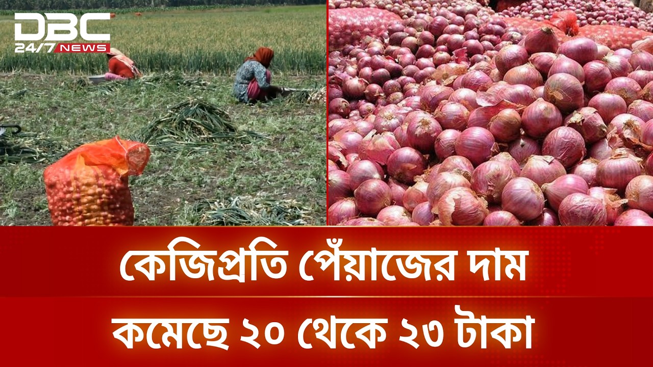 রাজবাড়ীতে পেঁয়াজের বাজারে ব্যাপক দরপতন, ক্ষতির মুখে কৃষক | OnionPrice | DBC NEWS