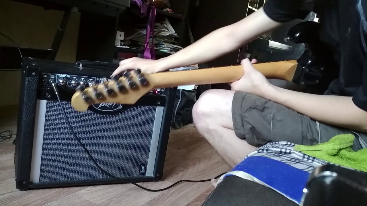 Комбоусилитель Peavey Envoy 110