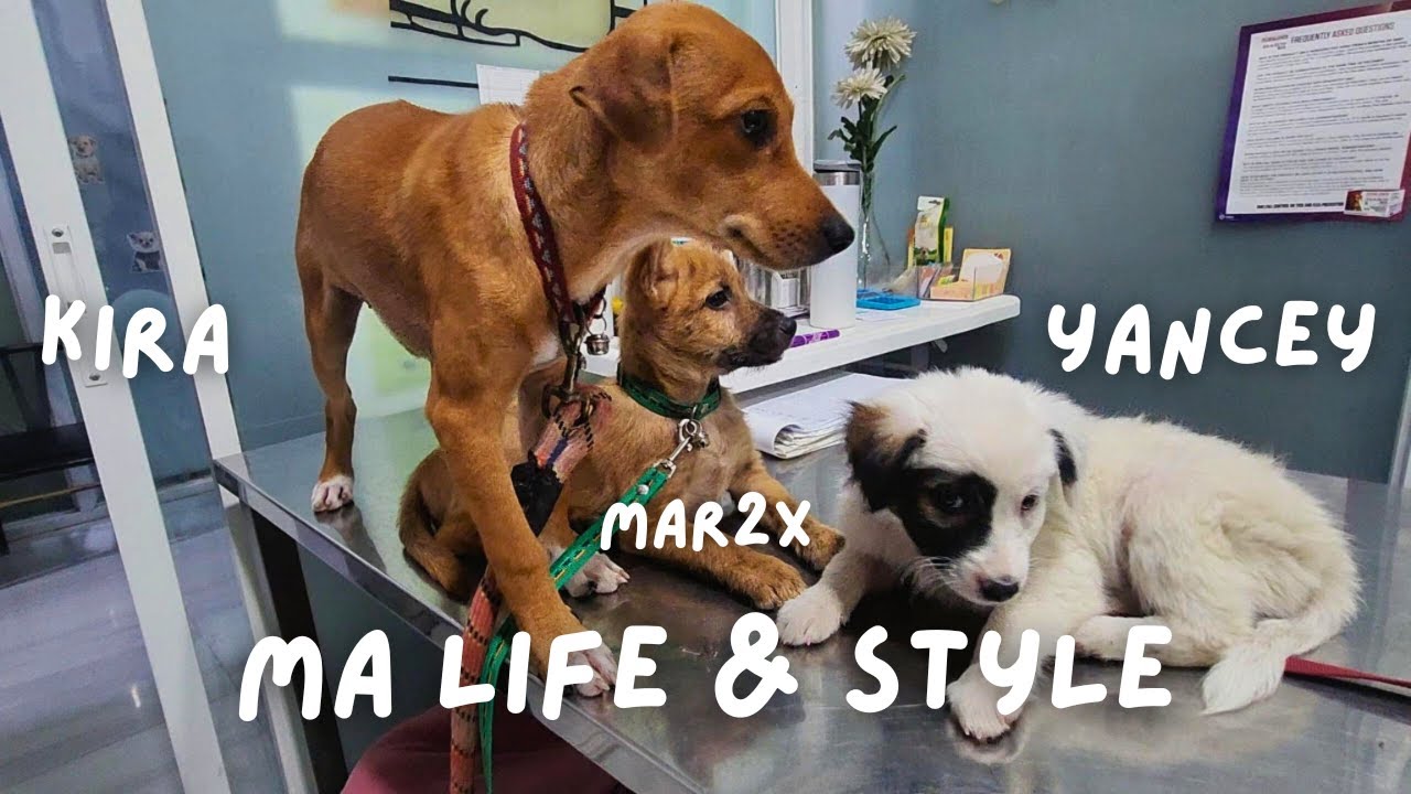 Shakira, Marimar, & Beyonce Day - MA Life & Style
