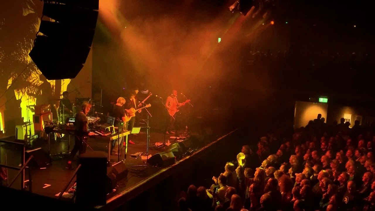 Steve Hillage ,Palm Trees (Love Guitar)  Ritz , Manchester, 7/6/19