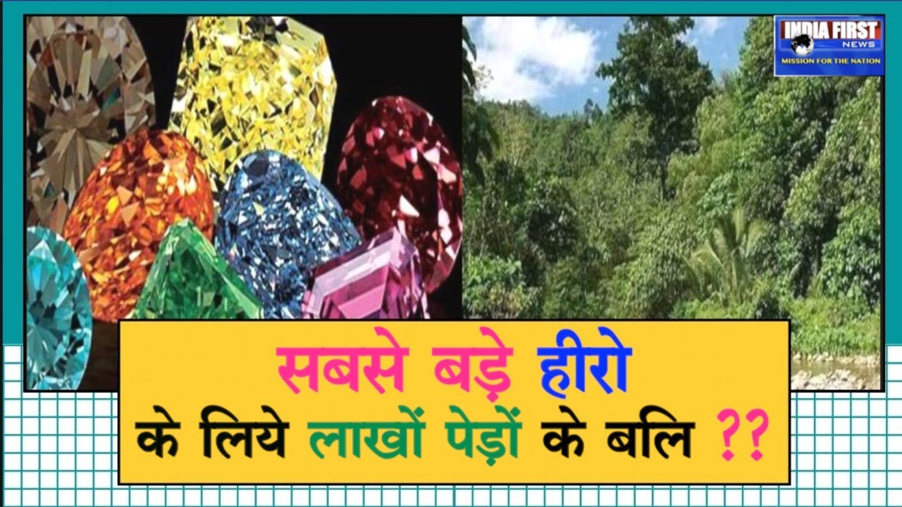 2 lakh trees to be cut for India&rsquo;s largest diamond mine | #savebuxwaha|