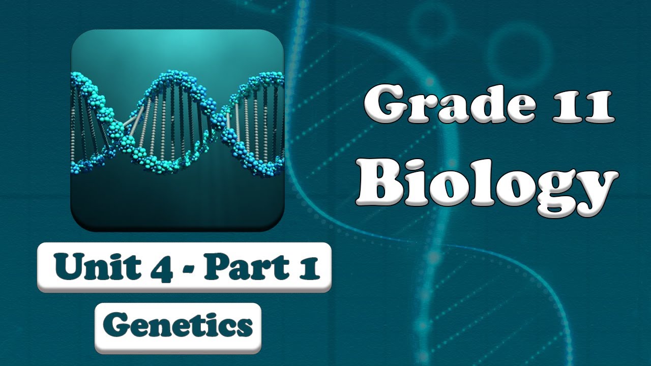 Grade 11 Biology UNIT 4 Genetics Part 1|  Mr. Ebisa Geleta