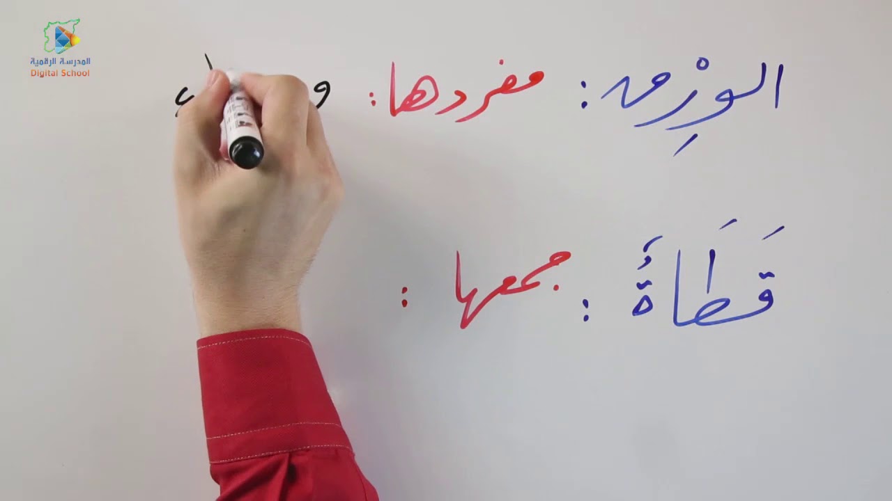60 شكوى  عربي8