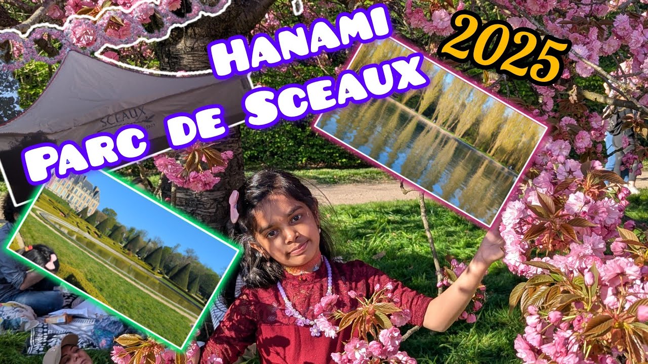 Hanami 2025 : Parc de Sceaux, France [Guide to go cherry blossom] *Japanese festival in Paris