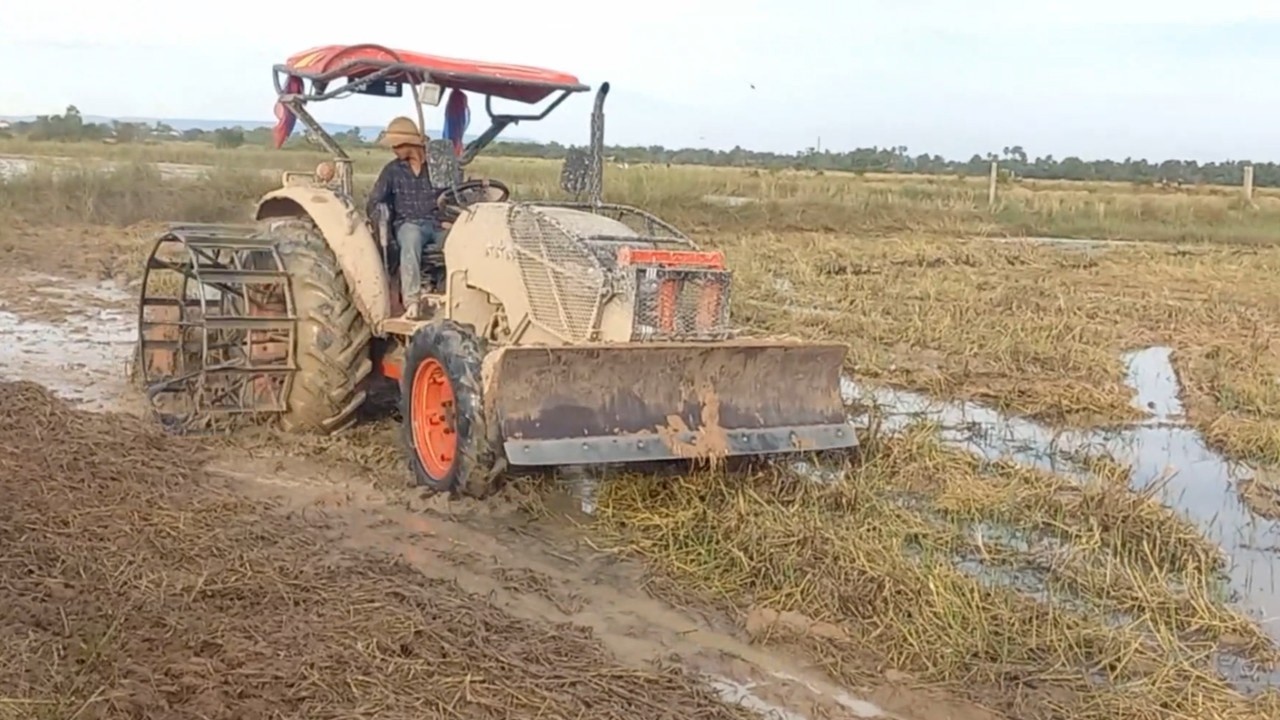 Tractor Kubota Cambodia Harrowing Soil, Machine Tractor Push Soil In Mud, Ploughing Kubota Farmer