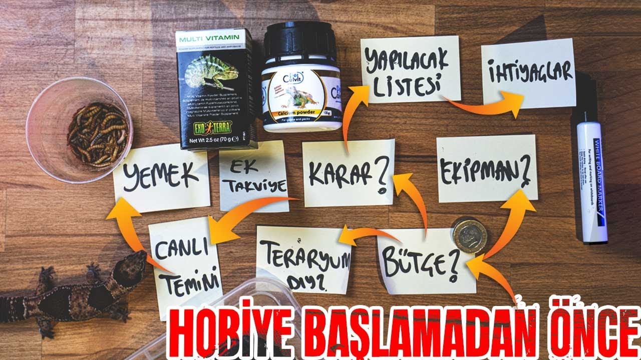 Hobiye Başlamadan Önce...