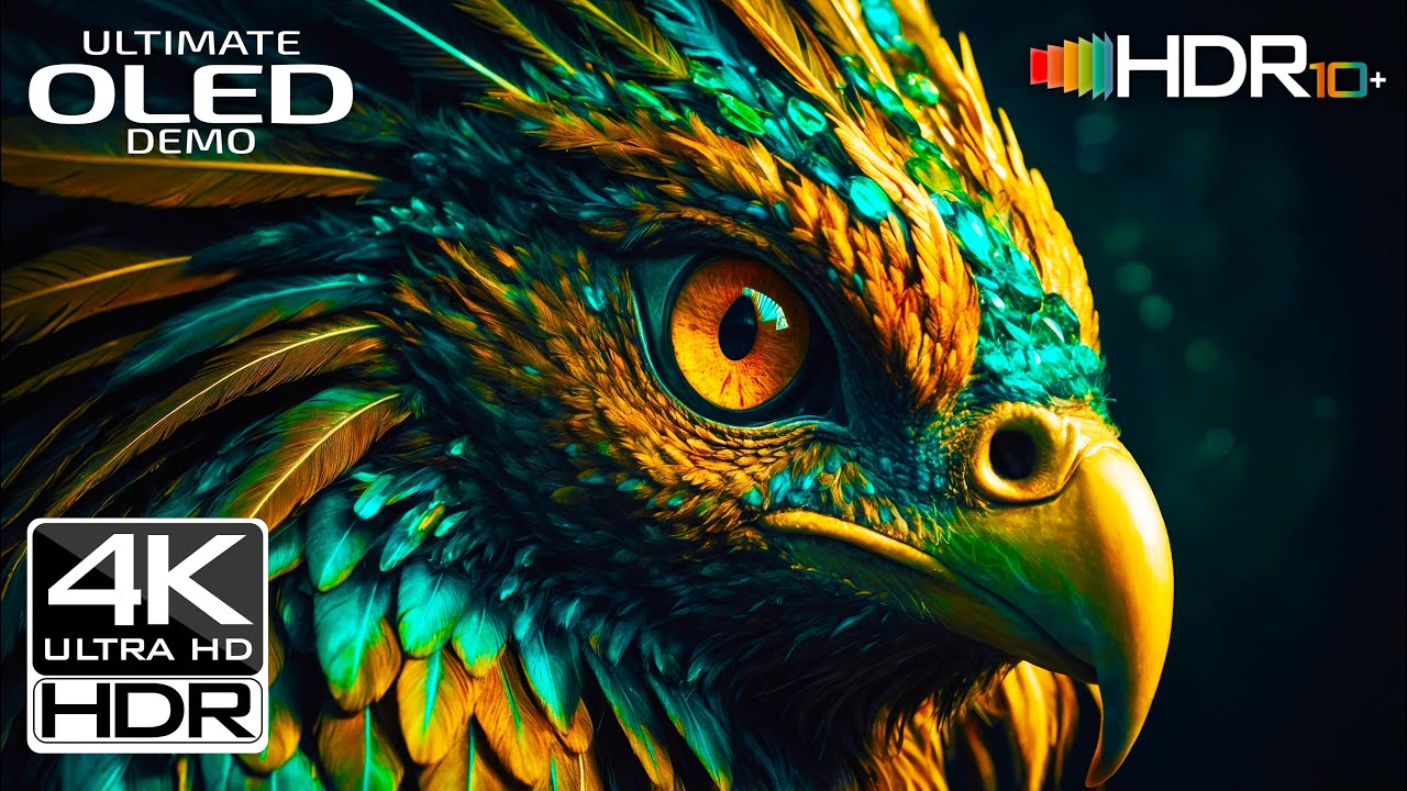 SPECIAL 4K HDR 60FPS OLED DEMO AND HDR TEST | 4K VIDEO ULTRA HD (4K /8K TV)