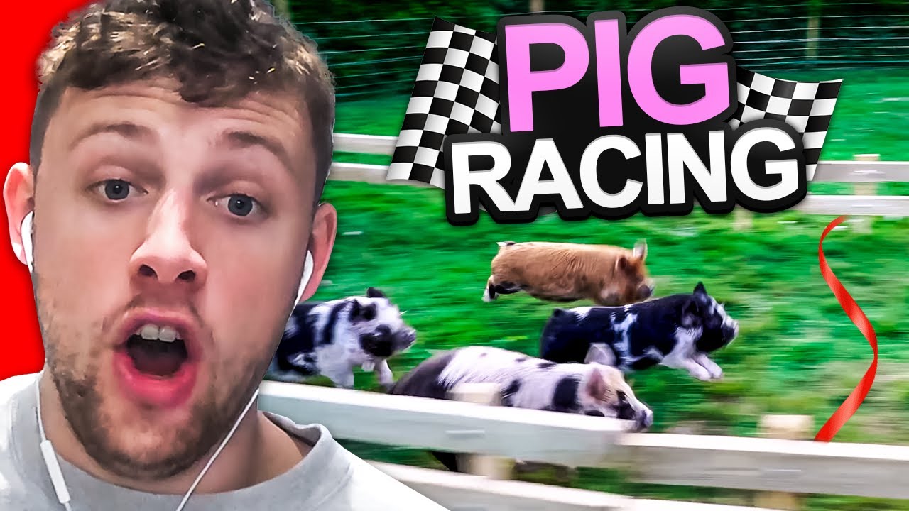 $10,000 Sidemen Pig Racing
