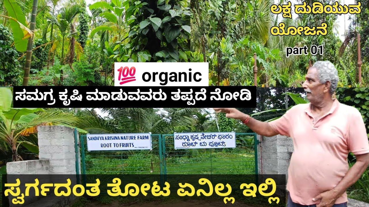 ಸ್ವರ್ಗದಂತ ತೋಟ ಏನಿಲ್ಲ ಇಲ್ಲಿ! ಸಮಗ್ರ ಕೃಷಿ ಮಾಡುವವರು ತಪ್ಪದೆ ನೊಡಿ. 💯 organic farming.