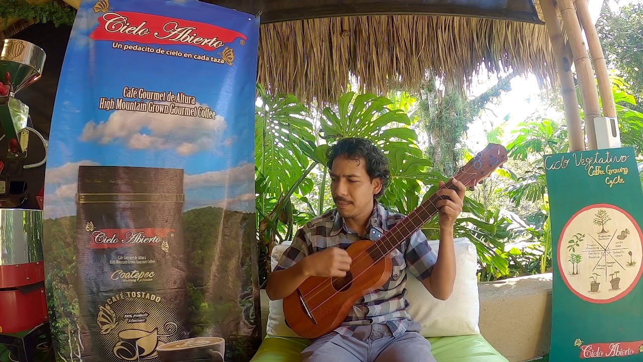 Clase de Jarana - Los Enanitos y La Manta