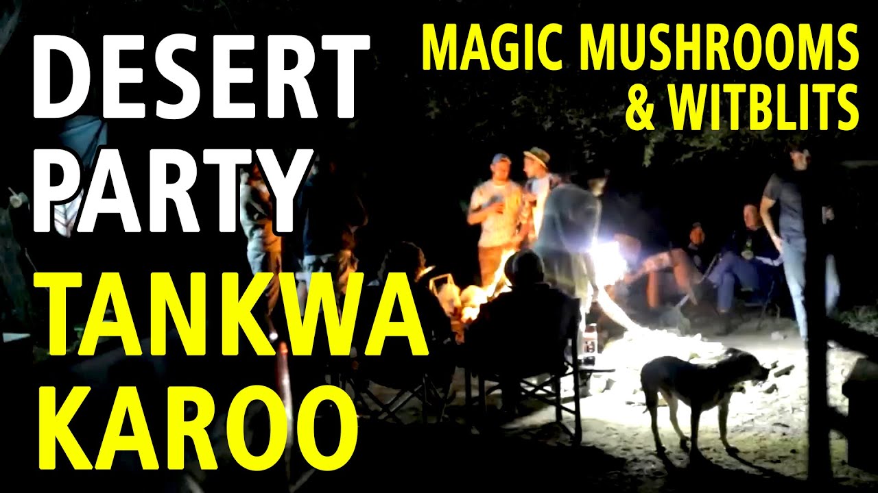 DESERT PARTY - Tankwa Karoo
