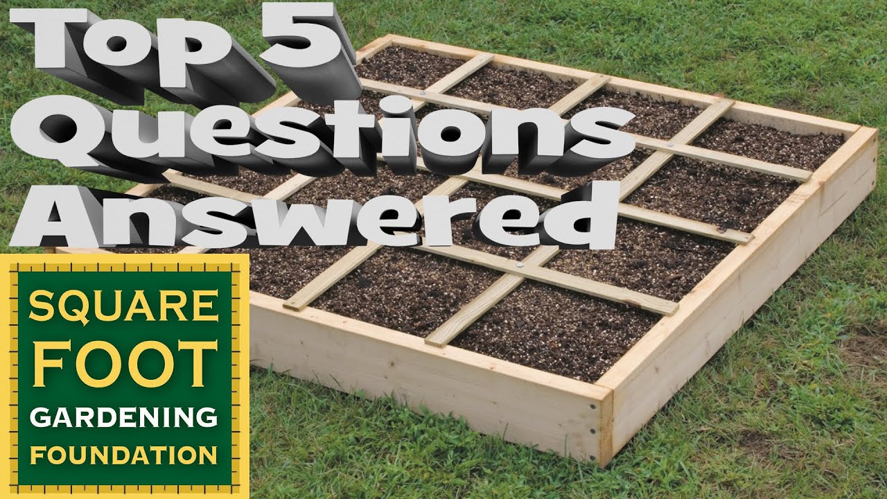 Square Foot Gardening Essentials - You Asked We Answer your Top 5 Square Foot Gardening Questions