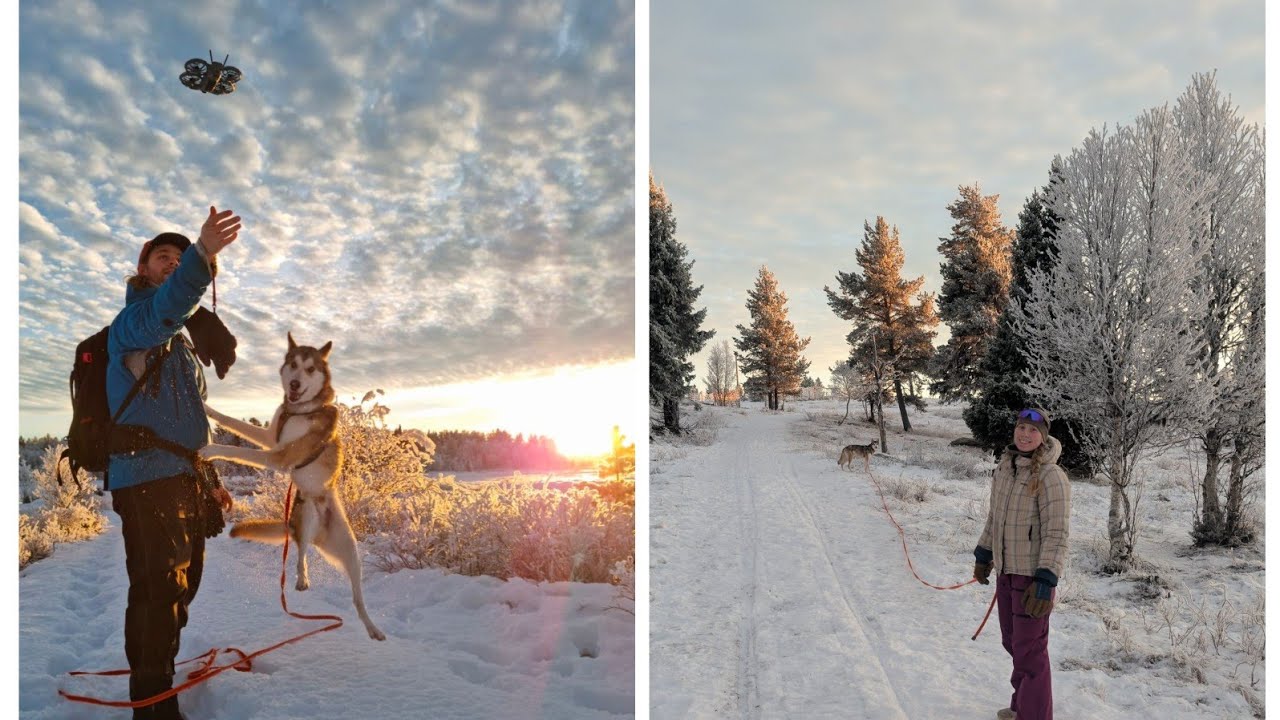 DJI Neo 2 first time testing. 4K/30fps walking the dog on Golsfjellet during Christmas 2025