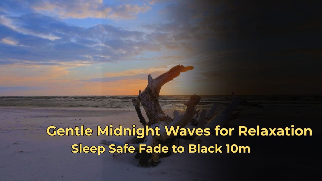 Driftwood Beach & Calming Waves | Black Screen for Deep Sleep