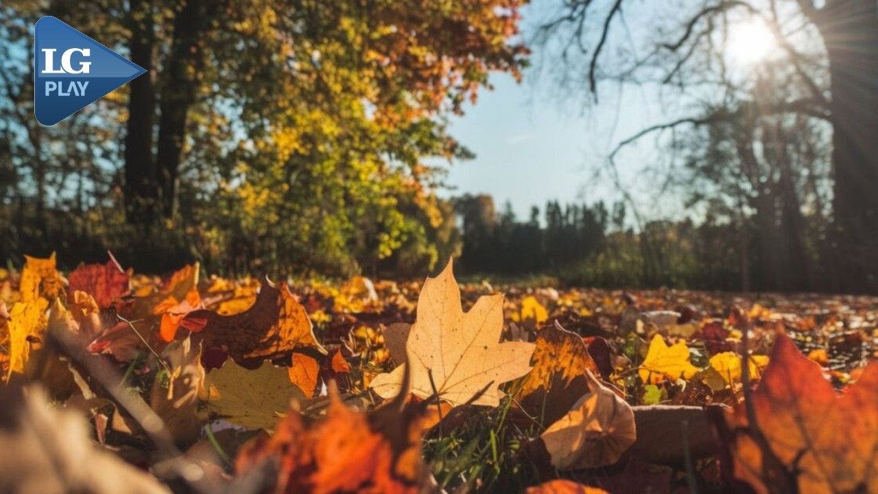 ¿Se viene un otoño lluvioso?