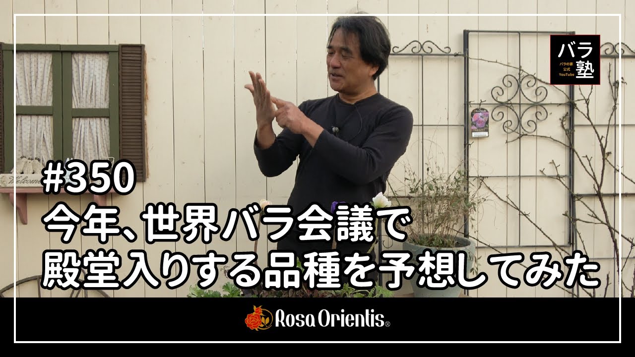 #350 今年、世界バラ会議で殿堂入りする品種を予想してみた