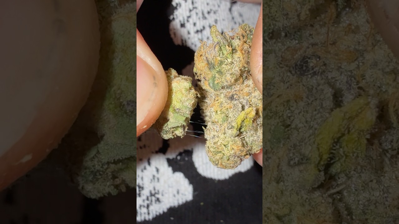 When it&rsquo;s so frosty it&rsquo;s like stringy cheese 🤯￼