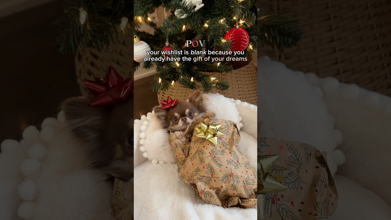 BEST Christmas Gift 🥹🎁❤️