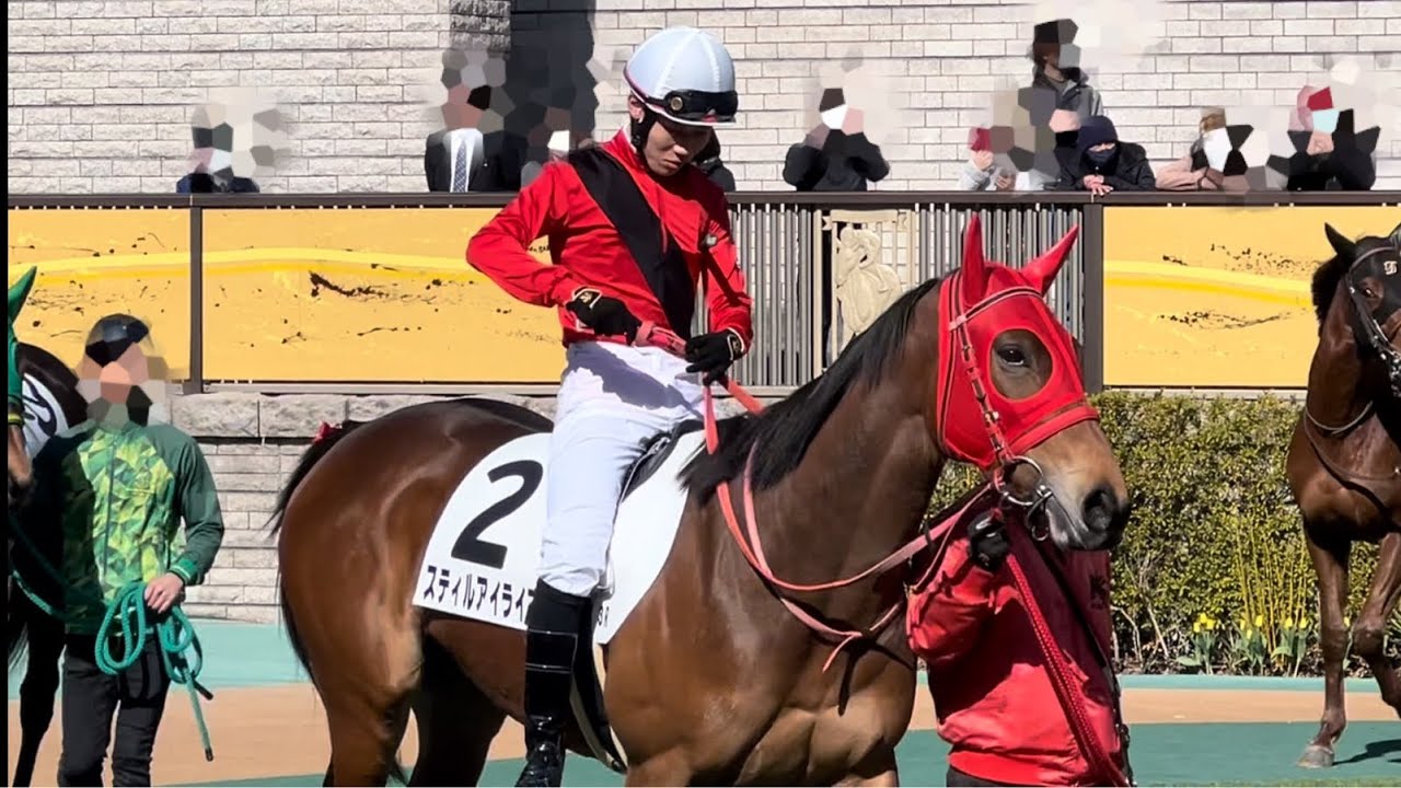 スティルアイライズまめちゃんのパドック動画