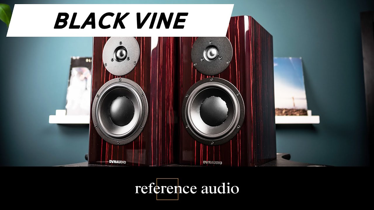 Dynaudio Special Forty BLACK VINE Unboxing