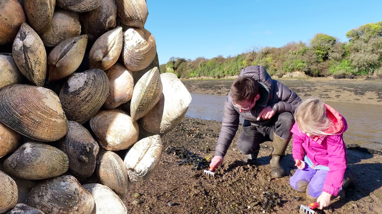 Coastal Foraging with my Daughter | Tasty Clam Chowder Recipe