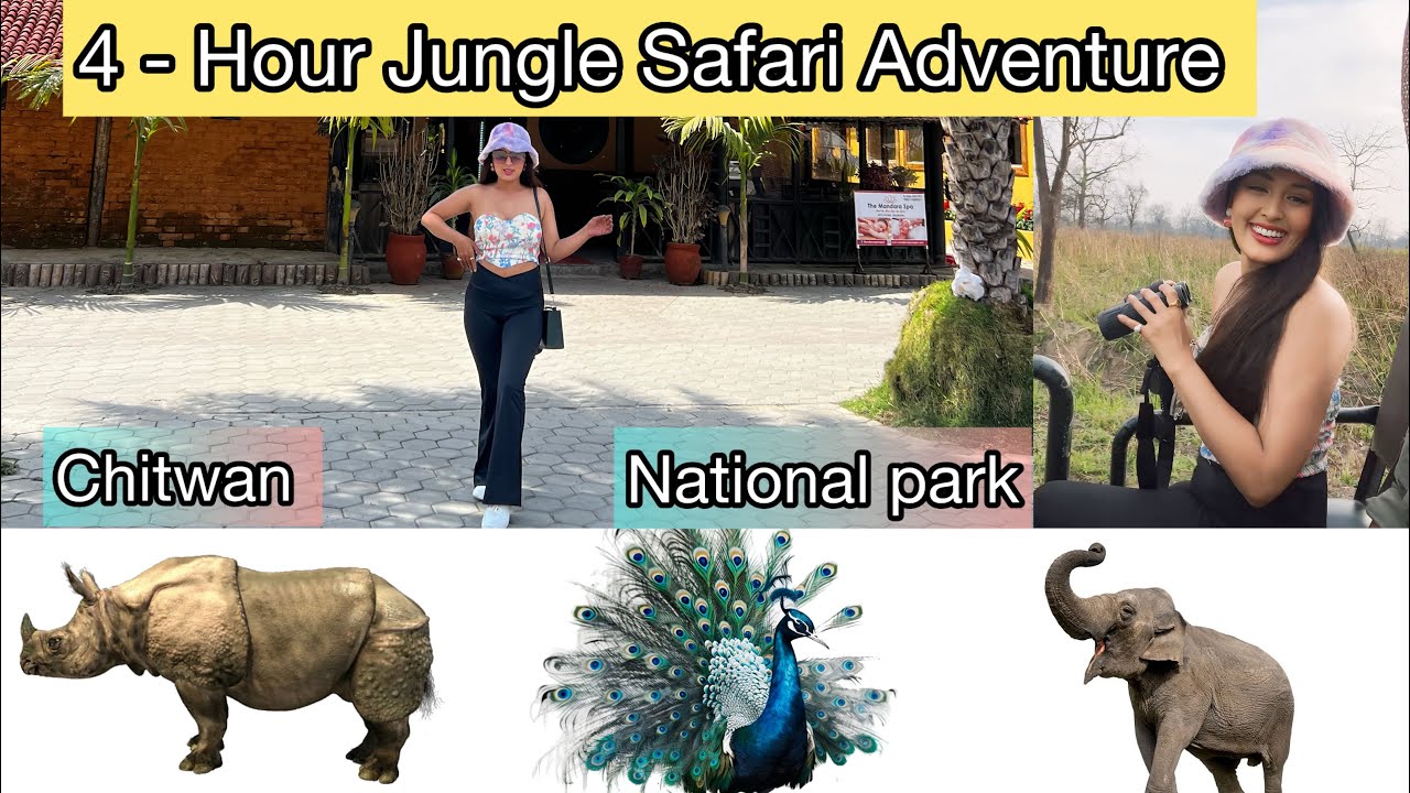 Jungle Safari | के के देखियो चितवन राष्ट्रिय निकुञ्ज मा ? | Fun Trip with Jahanwi Basnet