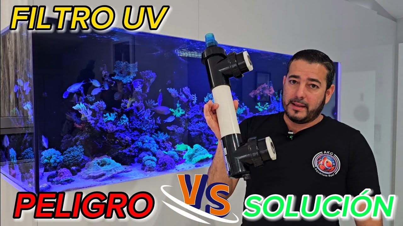 Como reparar nuestro filtro uv . Agua segura para su tanque de arrecife.