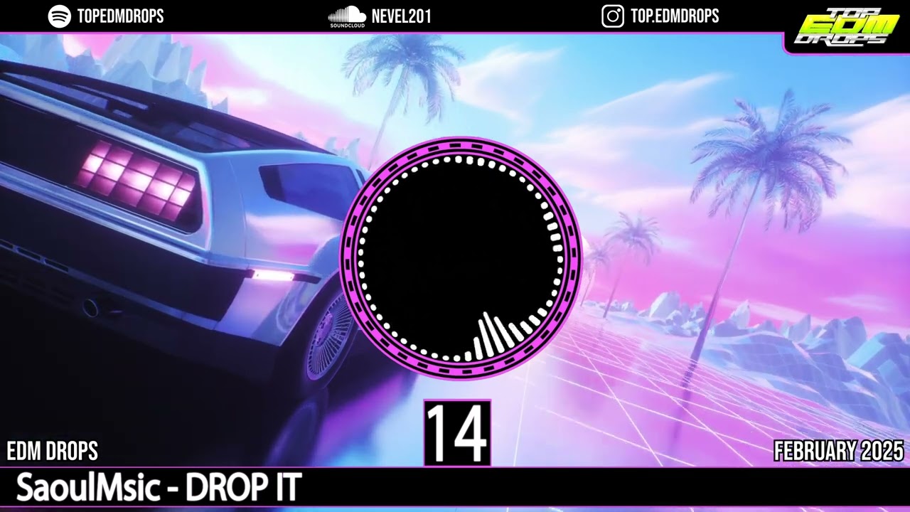 Top 20 EDM Drops (February 2025)